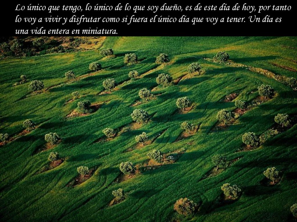 Lo único que tengo, lo único de lo que soy dueño, es de este día de hoy, por tanto lo voy a vivir y disfrutar como si fuera el único día que voy a tener.