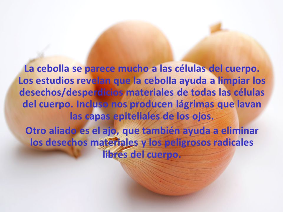 La cebolla se parece mucho a las células del cuerpo
