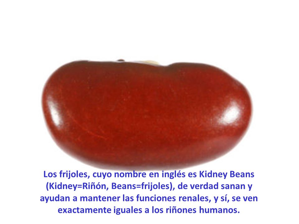 Los frijoles, cuyo nombre en inglés es Kidney Beans (Kidney=Riñón, Beans=frijoles), de verdad sanan y ayudan a mantener las funciones renales, y sí, se ven exactamente iguales a los riñones humanos.