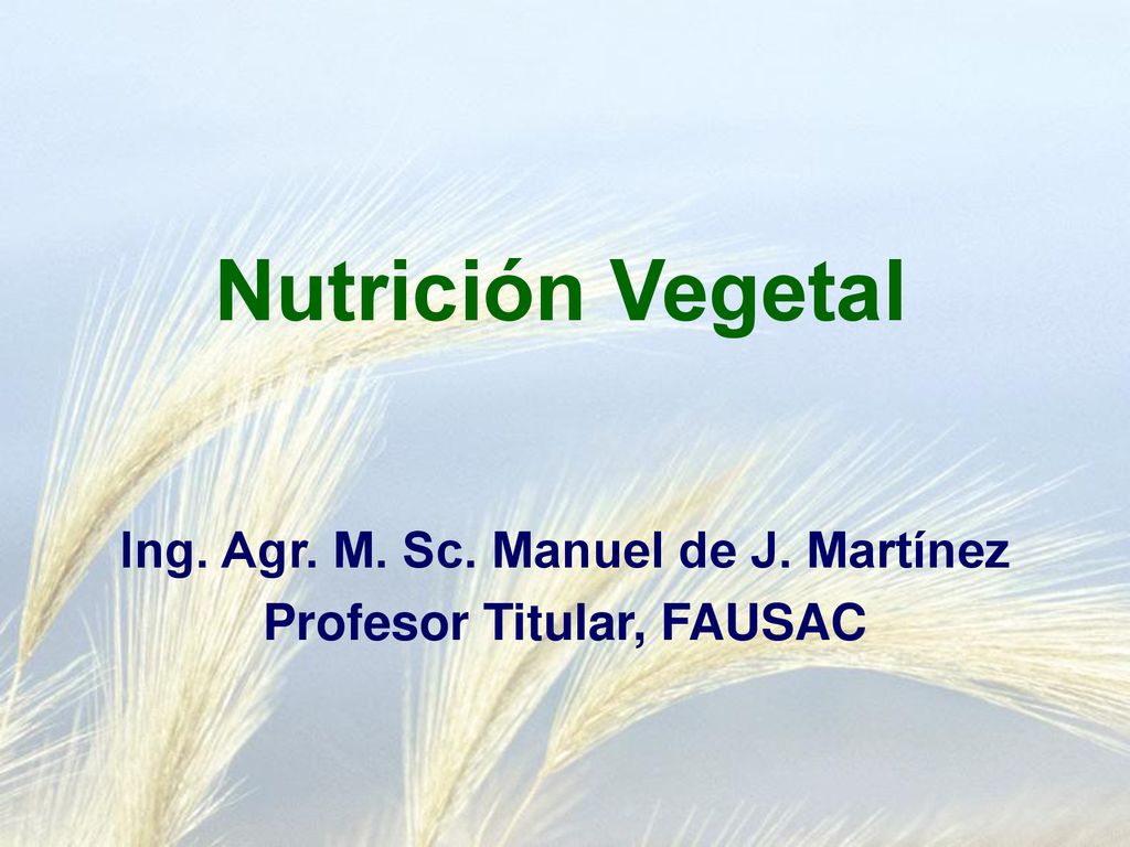 Ing. Agr. M. Sc. Manuel de J. Martínez Profesor Titular, FAUSAC