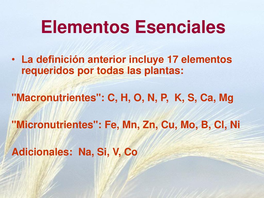 Elementos Esenciales La definición anterior incluye 17 elementos requeridos por todas las plantas: Macronutrientes : C, H, O, N, P, K, S, Ca, Mg.