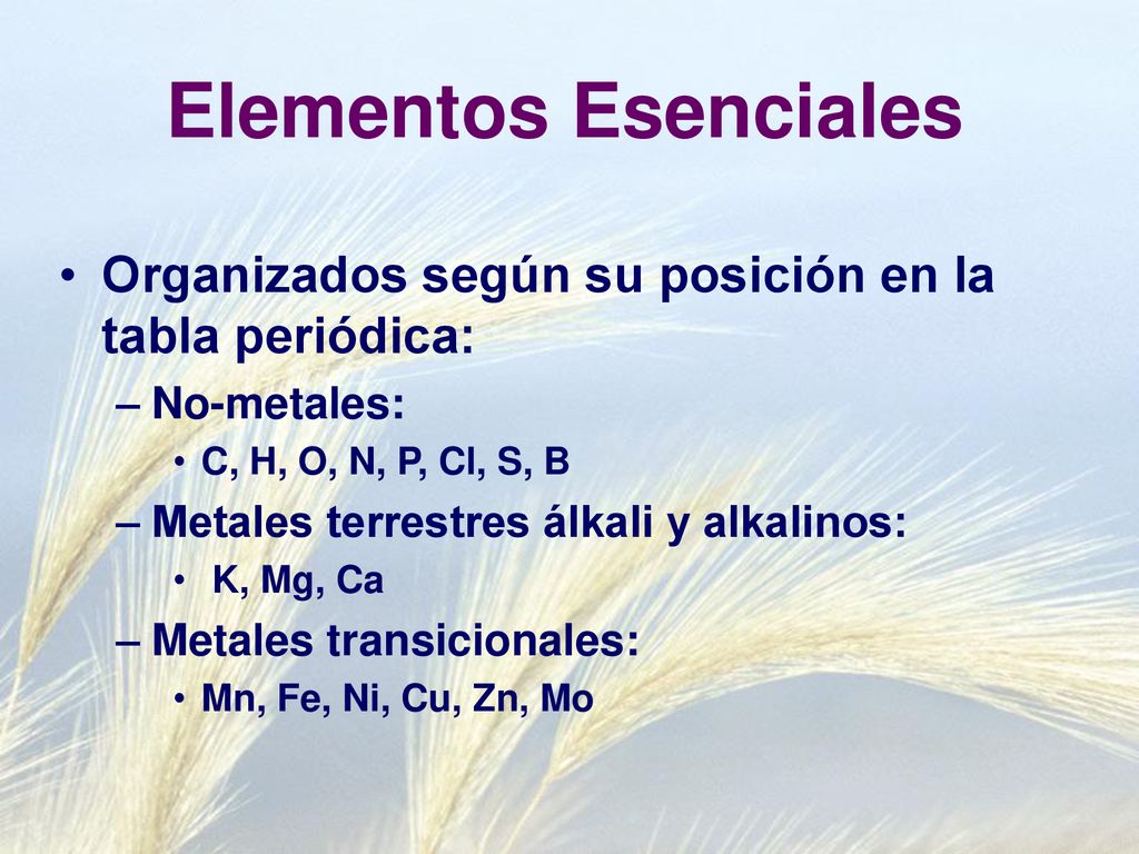 Elementos Esenciales Organizados según su posición en la tabla periódica: No-metales: C, H, O, N, P, Cl, S, B.