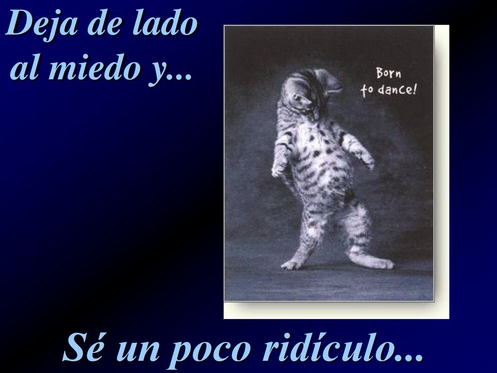 Deja de lado al miedo y... Sé un poco ridículo...