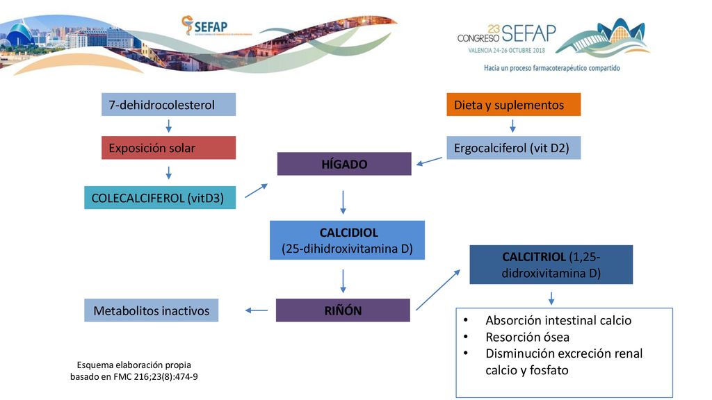 7-dehidrocolesterol Dieta y suplementos. Exposición solar. Ergocalciferol (vit D2) HÍGADO. COLECALCIFEROL (vitD3)