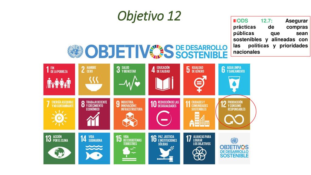 Objetivo 12 ODS 12.7: Asegurar prácticas de compras públicas que sean sostenibles y alineadas con las políticas y prioridades nacionales.