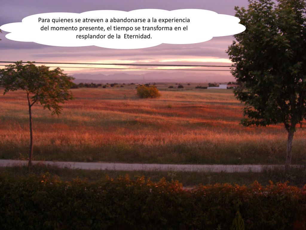 Para quienes se atreven a abandonarse a la experiencia del momento presente, el tiempo se transforma en el resplandor de la Eternidad.