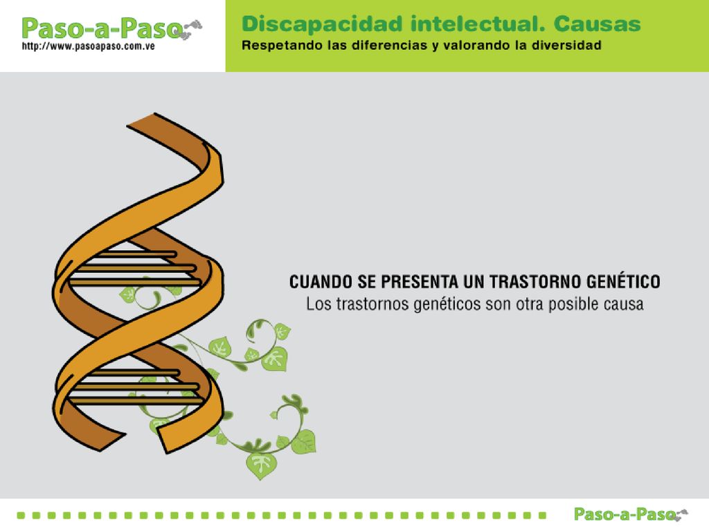 - Los trastornos genéticos son otra posible causa de la discapacidad intelectual…