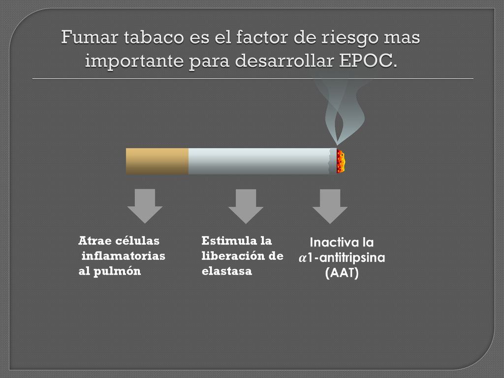 Fumar tabaco es el factor de riesgo mas importante para desarrollar EPOC.