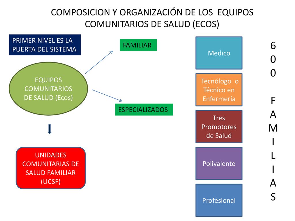 COMPOSICION Y ORGANIZACIÓN DE LOS EQUIPOS COMUNITARIOS DE SALUD (ECOS)