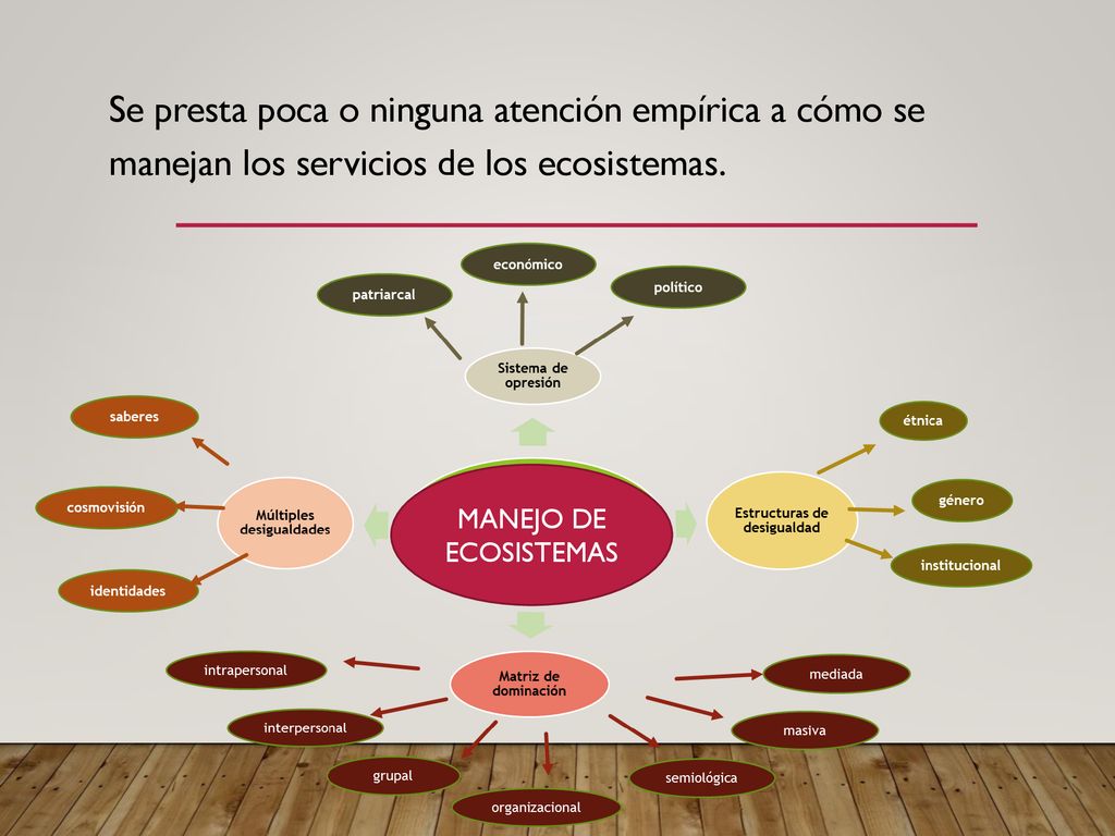 Se presta poca o ninguna atención empírica a cómo se manejan los servicios de los ecosistemas.