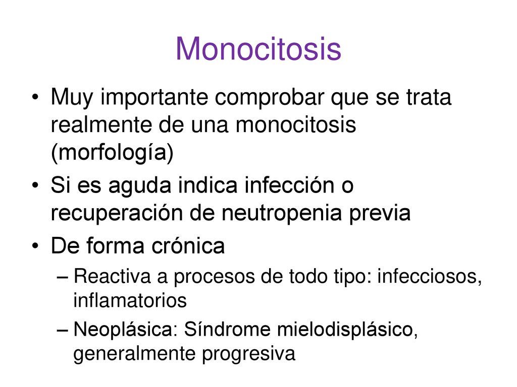 Monocitosis Muy importante comprobar que se trata realmente de una monocitosis (morfología)