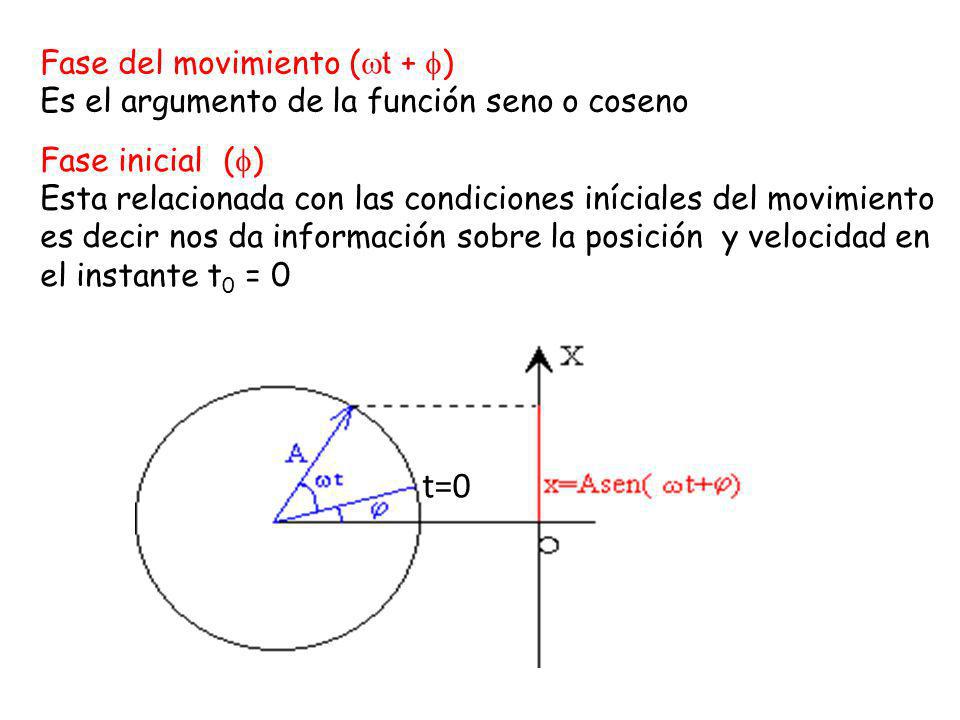 t=0 Fase del movimiento (t + )