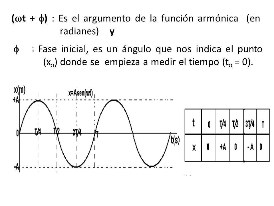 (t + ) : Es el argumento de la función armónica (en radianes) y