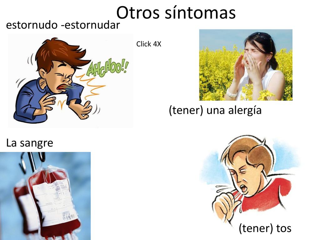 Otros síntomas estornudo -estornudar (tener) una alergía La sangre