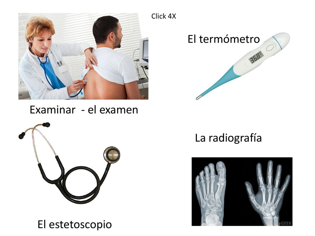 El termómetro Examinar - el examen La radiografía El estetoscopio