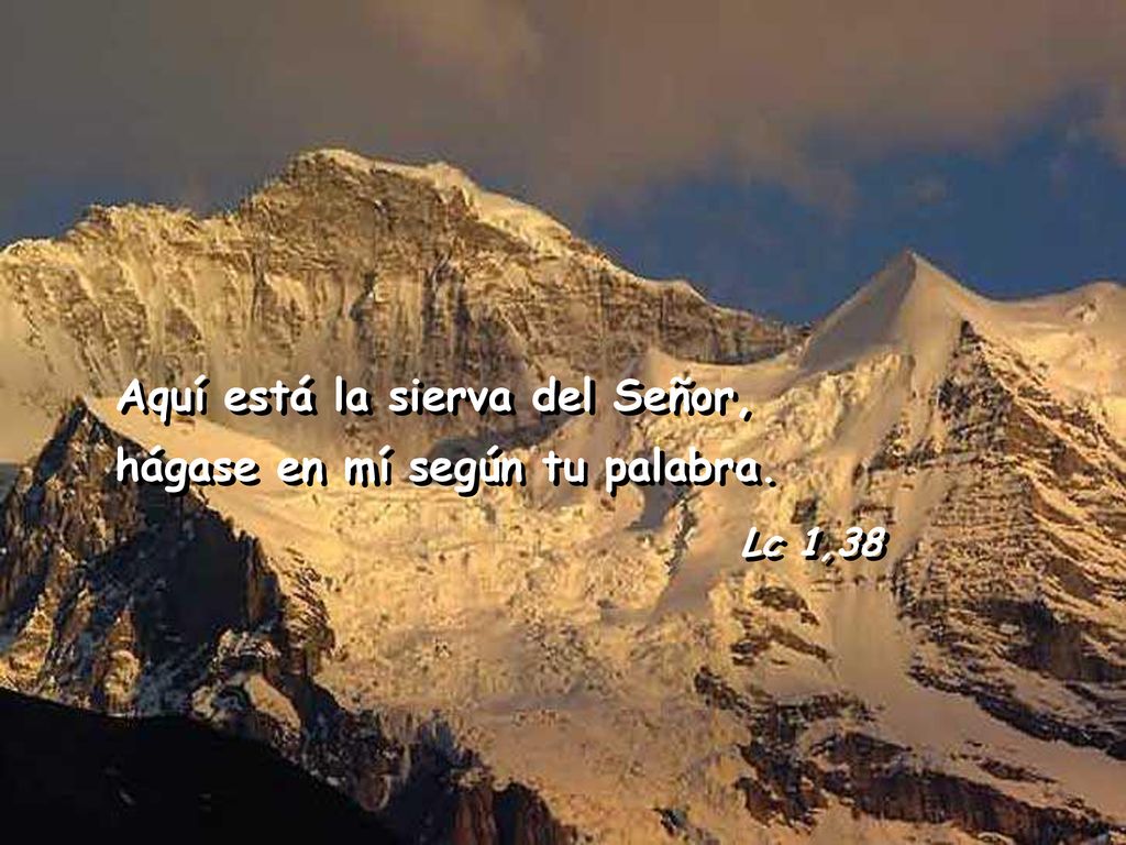 Aquí está la sierva del Señor, hágase en mí según tu palabra.