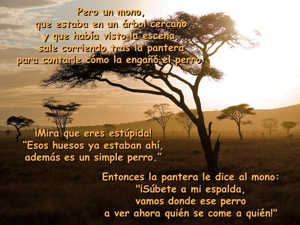 que estaba en un árbol cercano y que había visto la escena,