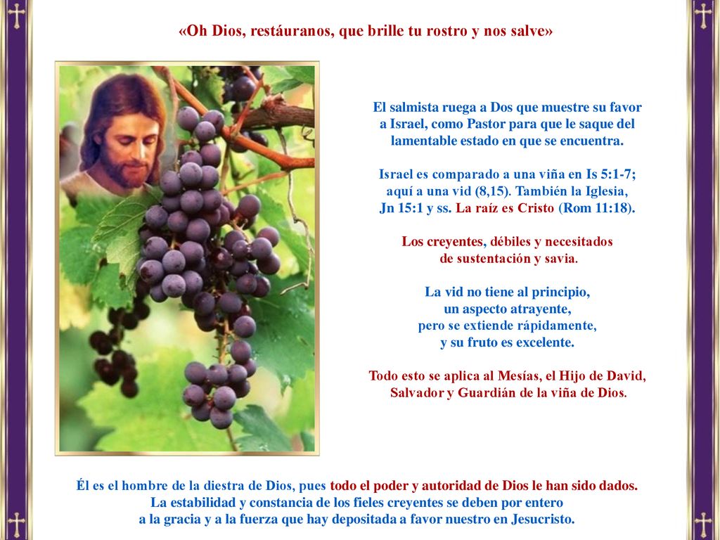 «Oh Dios, restáuranos, que brille tu rostro y nos salve»