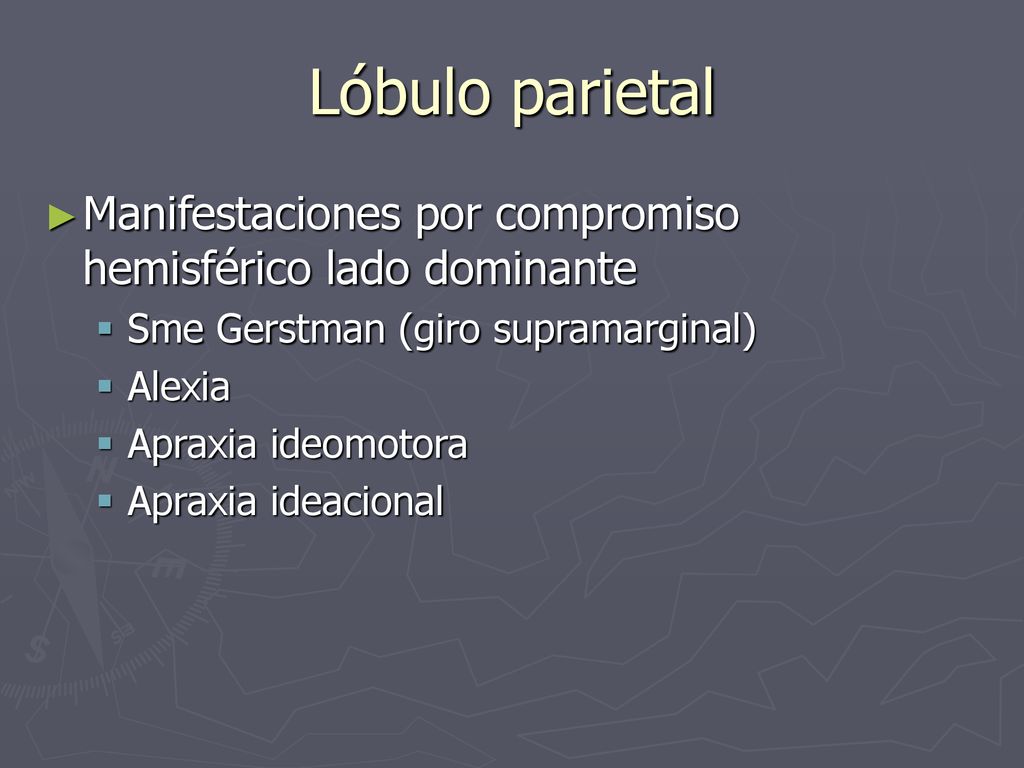 Lóbulo parietal Manifestaciones por compromiso hemisférico lado dominante. Sme Gerstman (giro supramarginal)