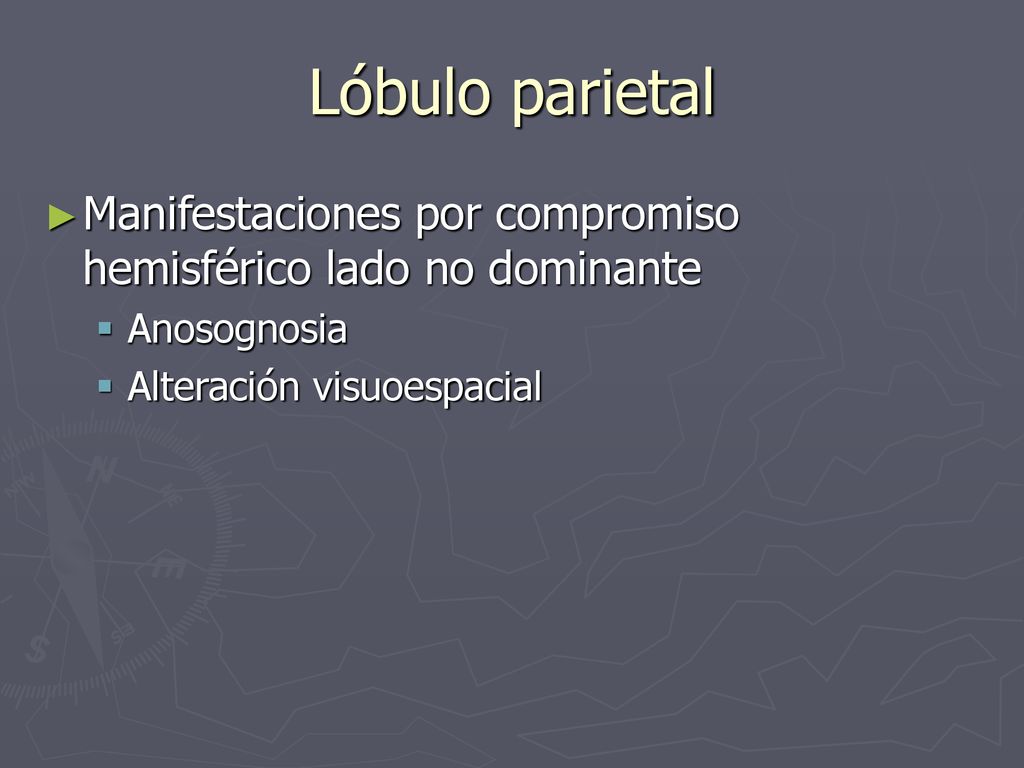 Lóbulo parietal Manifestaciones por compromiso hemisférico lado no dominante.