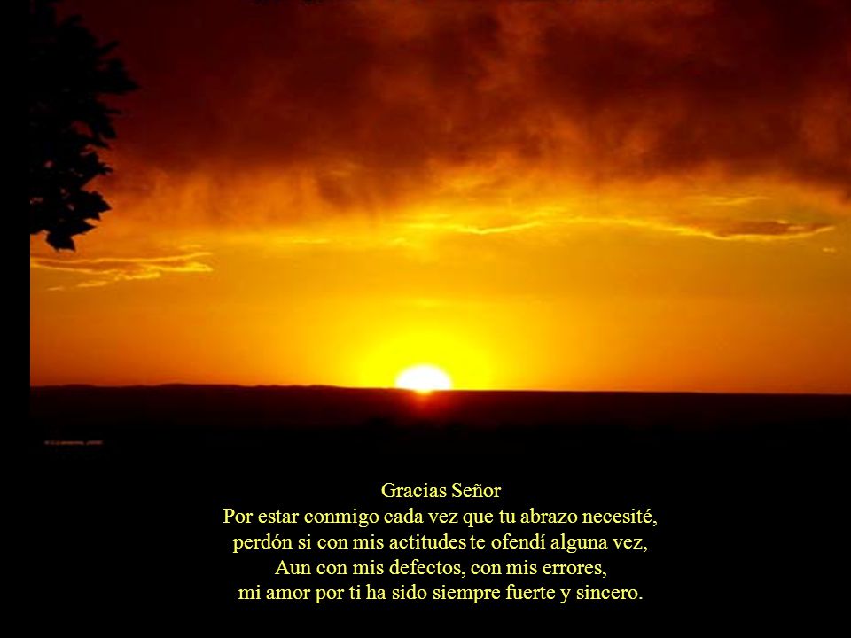 Gracias Señor Por estar conmigo cada vez que tu abrazo necesité, perdón si con mis actitudes te ofendí alguna vez, Aun con mis defectos, con mis errores, mi amor por ti ha sido siempre fuerte y sincero.