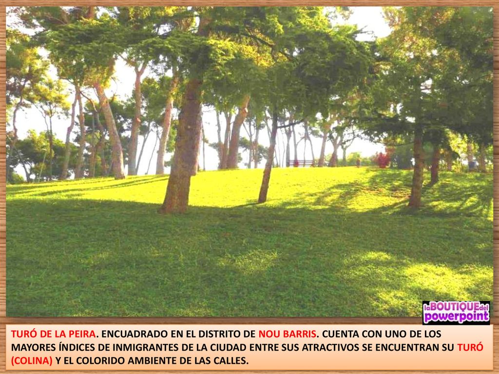 TURÓ DE LA PEIRA. ENCUADRADO EN EL DISTRITO DE NOU BARRIS