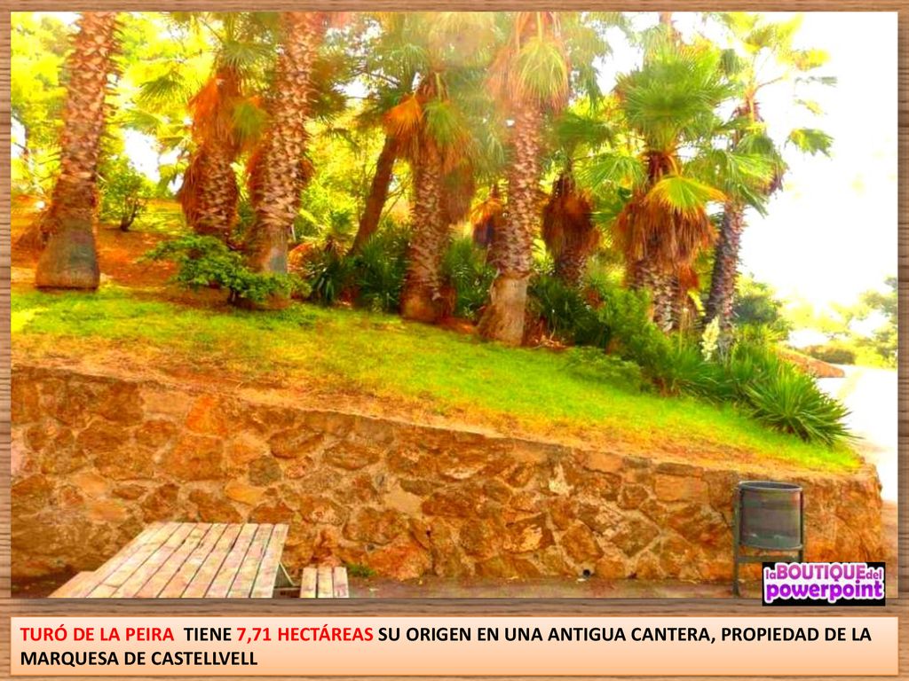 TURÓ DE LA PEIRA TIENE 7,71 HECTÁREAS SU ORIGEN EN UNA ANTIGUA CANTERA, PROPIEDAD DE LA MARQUESA DE CASTELLVELL