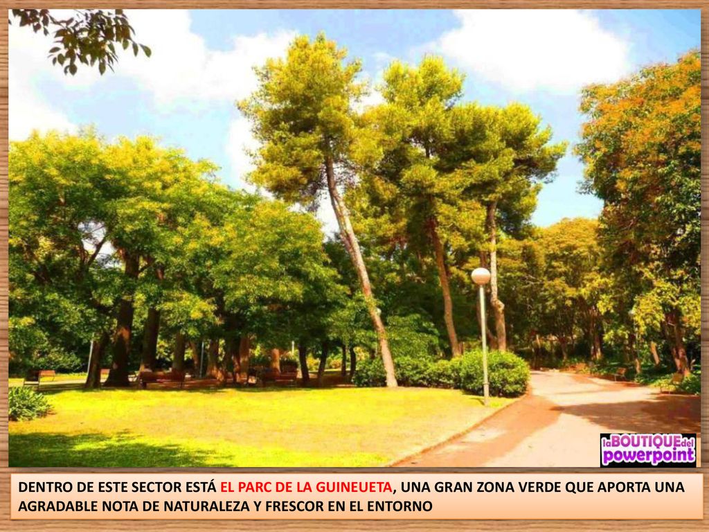 DENTRO DE ESTE SECTOR ESTÁ EL PARC DE LA GUINEUETA, UNA GRAN ZONA VERDE QUE APORTA UNA AGRADABLE NOTA DE NATURALEZA Y FRESCOR EN EL ENTORNO