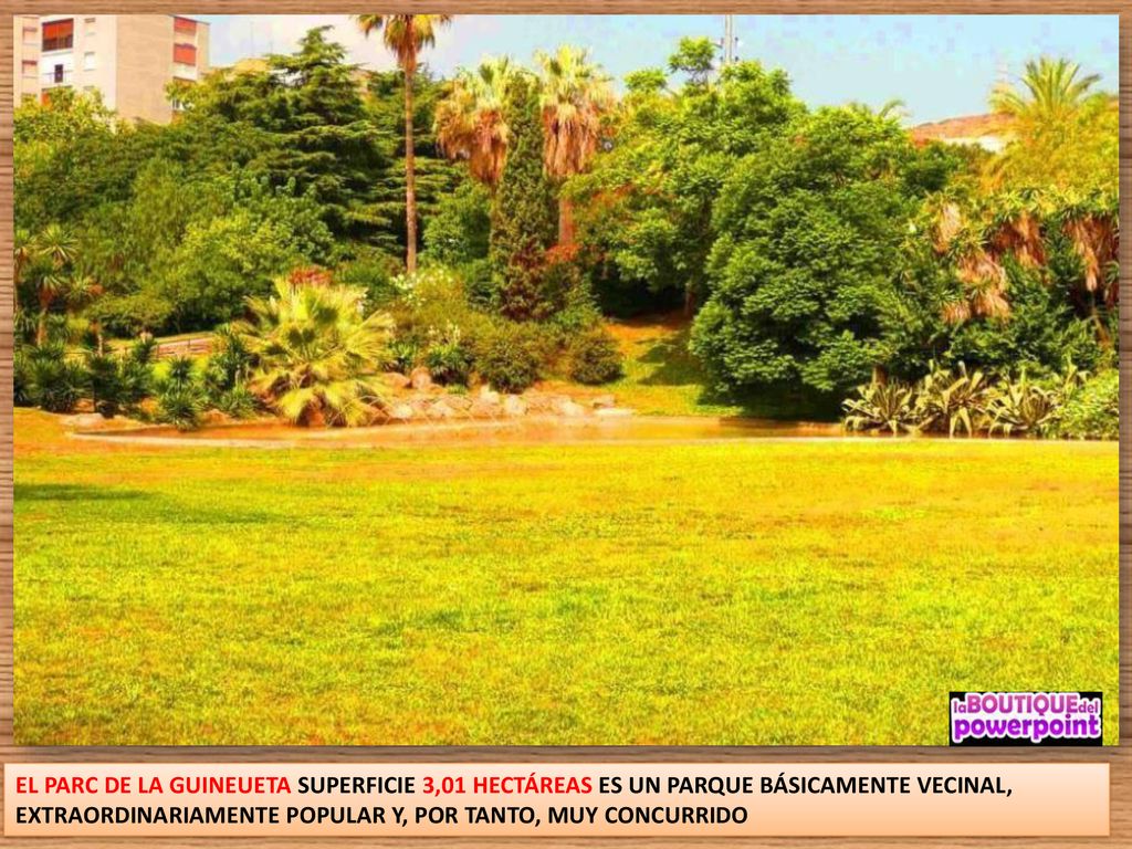 EL PARC DE LA GUINEUETA SUPERFICIE 3,01 HECTÁREAS ES UN PARQUE BÁSICAMENTE VECINAL, EXTRAORDINARIAMENTE POPULAR Y, POR TANTO, MUY CONCURRIDO