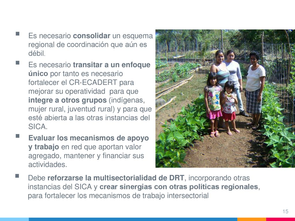 Es necesario consolidar un esquema regional de coordinación que aún es débil.
