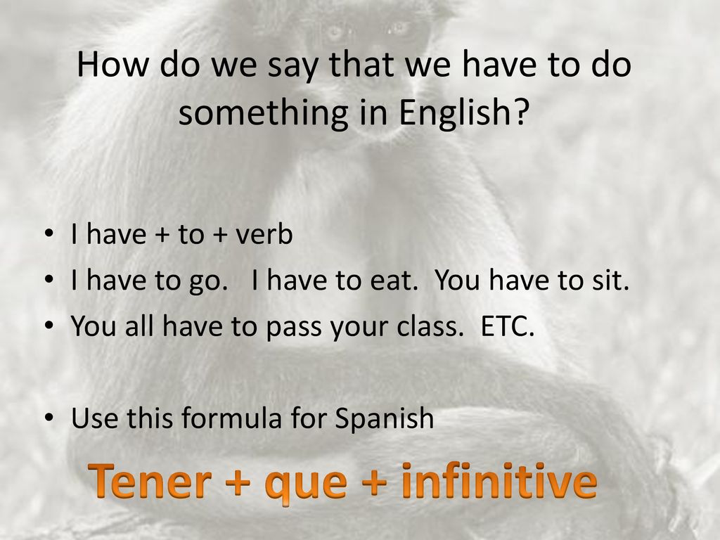 How do we say that we have to do something in English
