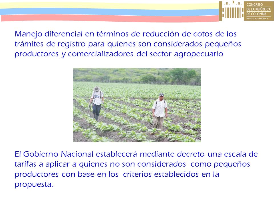 Manejo diferencial en términos de reducción de cotos de los trámites de registro para quienes son considerados pequeños productores y comercializadores del sector agropecuario