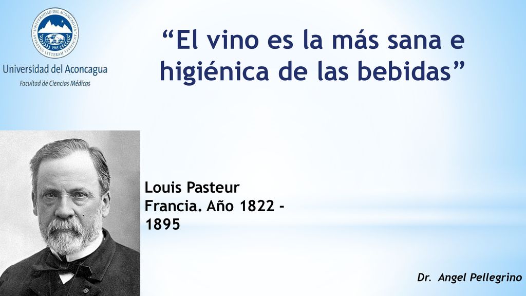 El vino es la más sana e higiénica de las bebidas