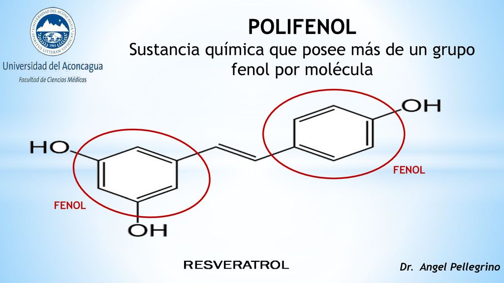 Sustancia química que posee más de un grupo fenol por molécula