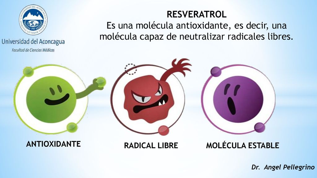 RESVERATROL Es una molécula antioxidante, es decir, una molécula capaz de neutralizar radicales libres.