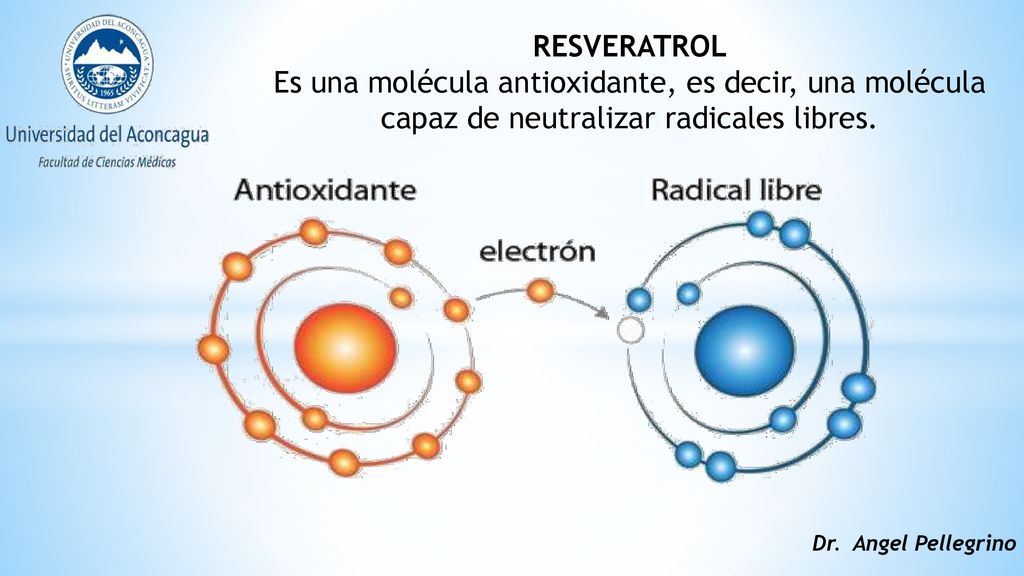 RESVERATROL Es una molécula antioxidante, es decir, una molécula capaz de neutralizar radicales libres.