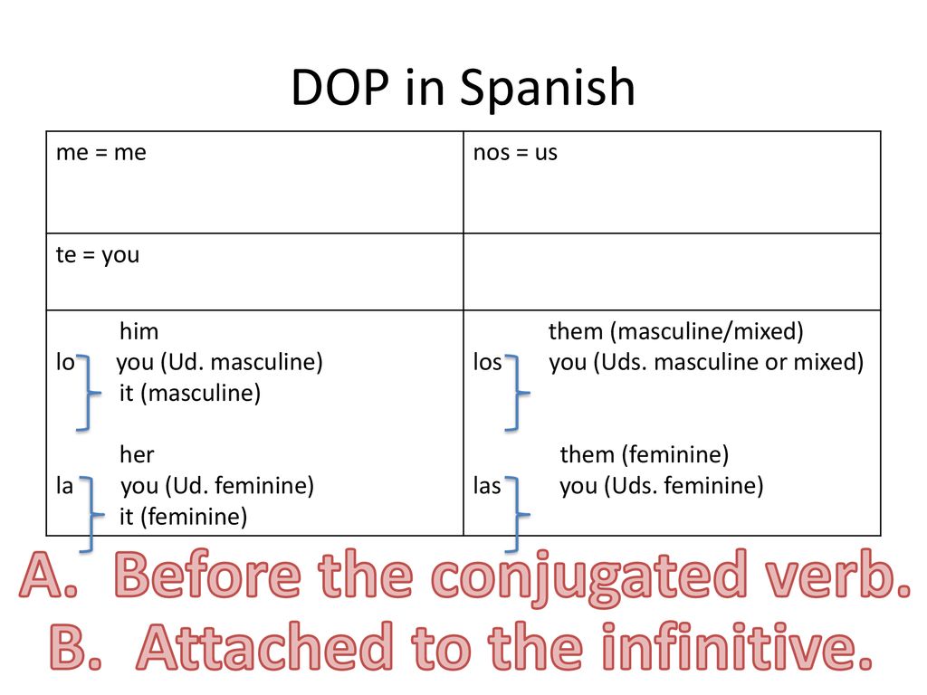 A. Before the conjugated verb. B. Attached to the infinitive.