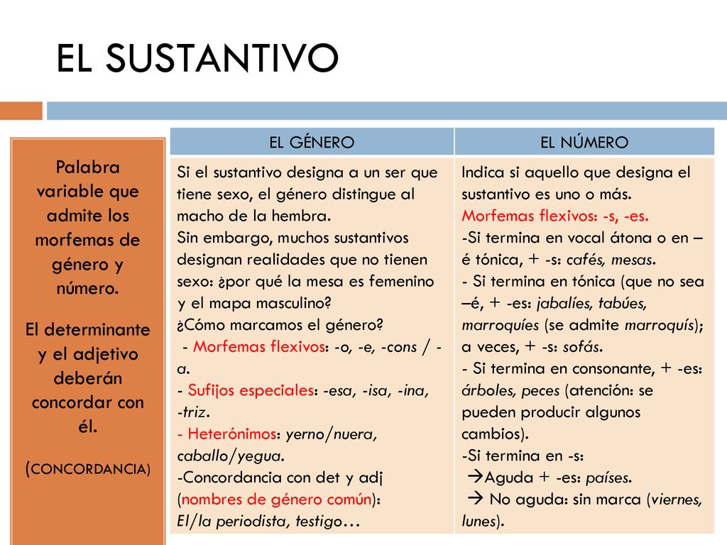 EL SUSTANTIVO EL GÉNERO. EL NÚMERO. Si el sustantivo designa a un ser que tiene sexo, el género distingue al macho de la hembra.