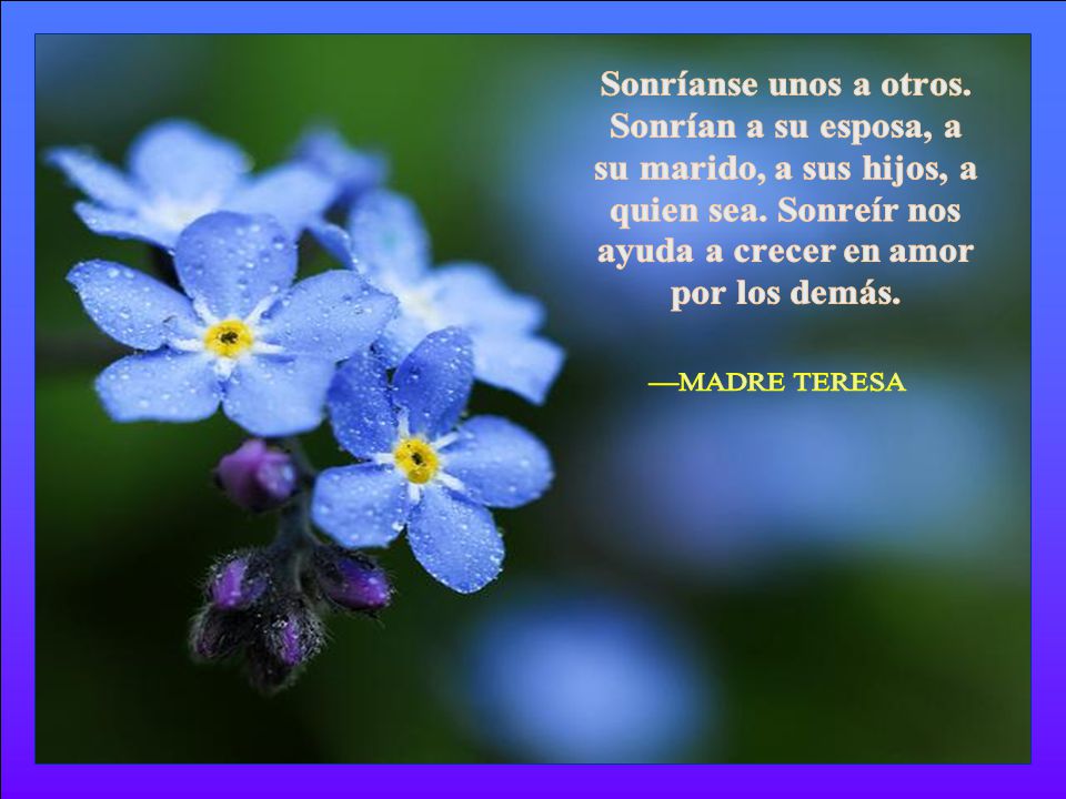 Sonríanse unos a otros. Sonrían a su esposa, a. su marido, a sus hijos, a. quien sea. Sonreír nos.
