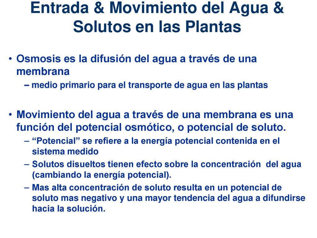 Entrada & Movimiento del Agua & Solutos en las Plantas