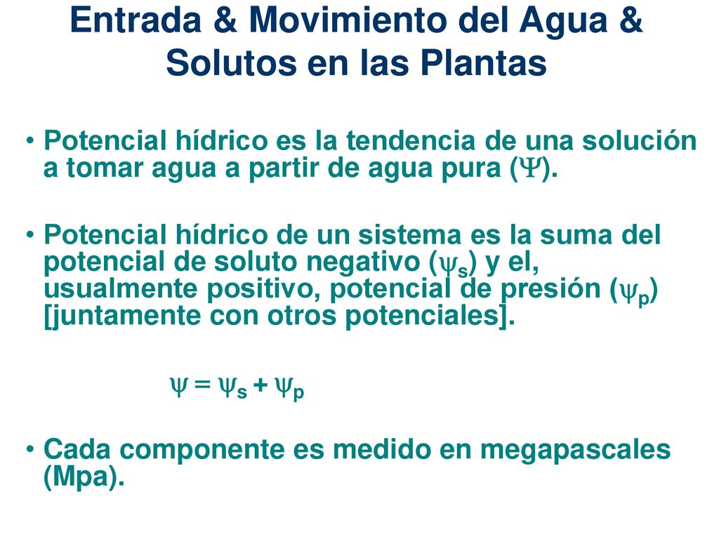 Entrada & Movimiento del Agua & Solutos en las Plantas