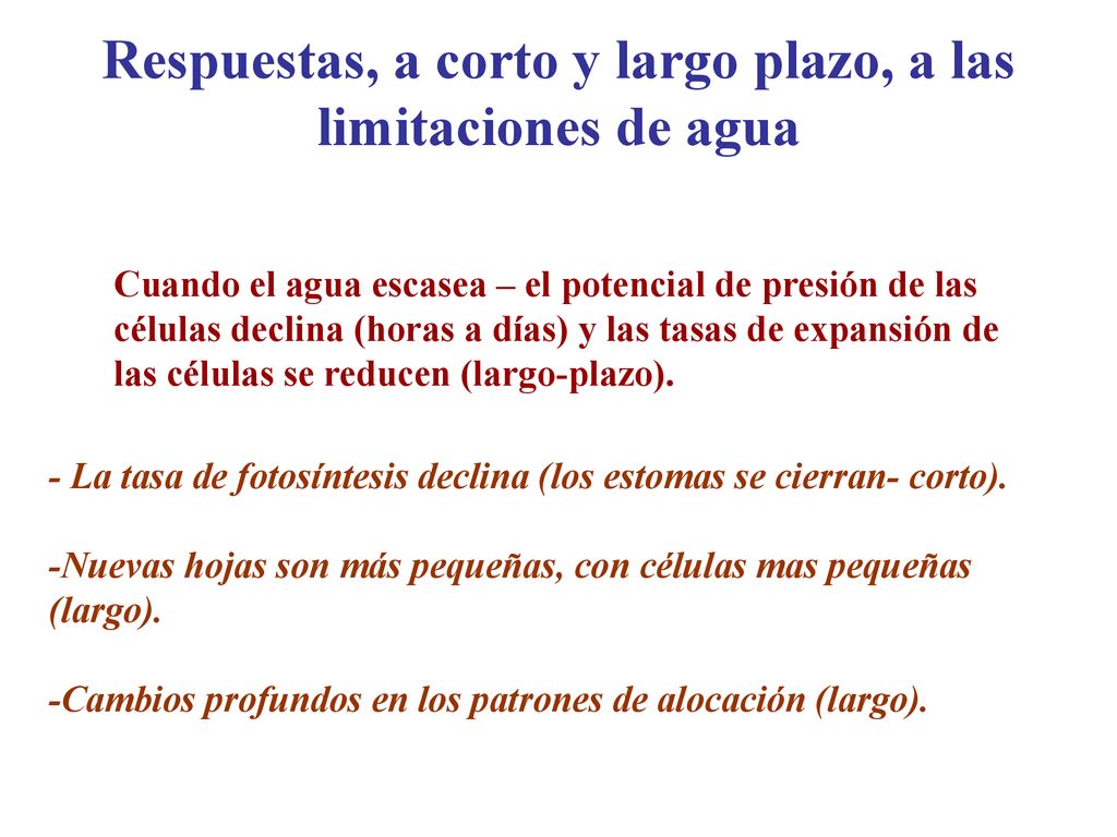Respuestas, a corto y largo plazo, a las limitaciones de agua