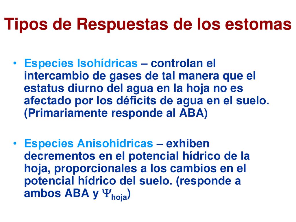 Tipos de Respuestas de los estomas