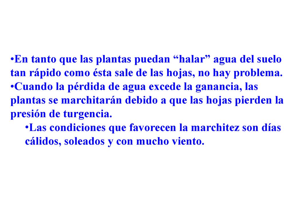 En tanto que las plantas puedan halar agua del suelo tan rápido como ésta sale de las hojas, no hay problema.
