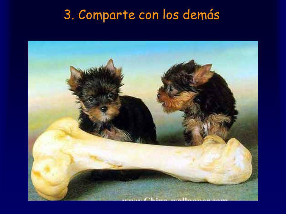 3. Comparte con los demás