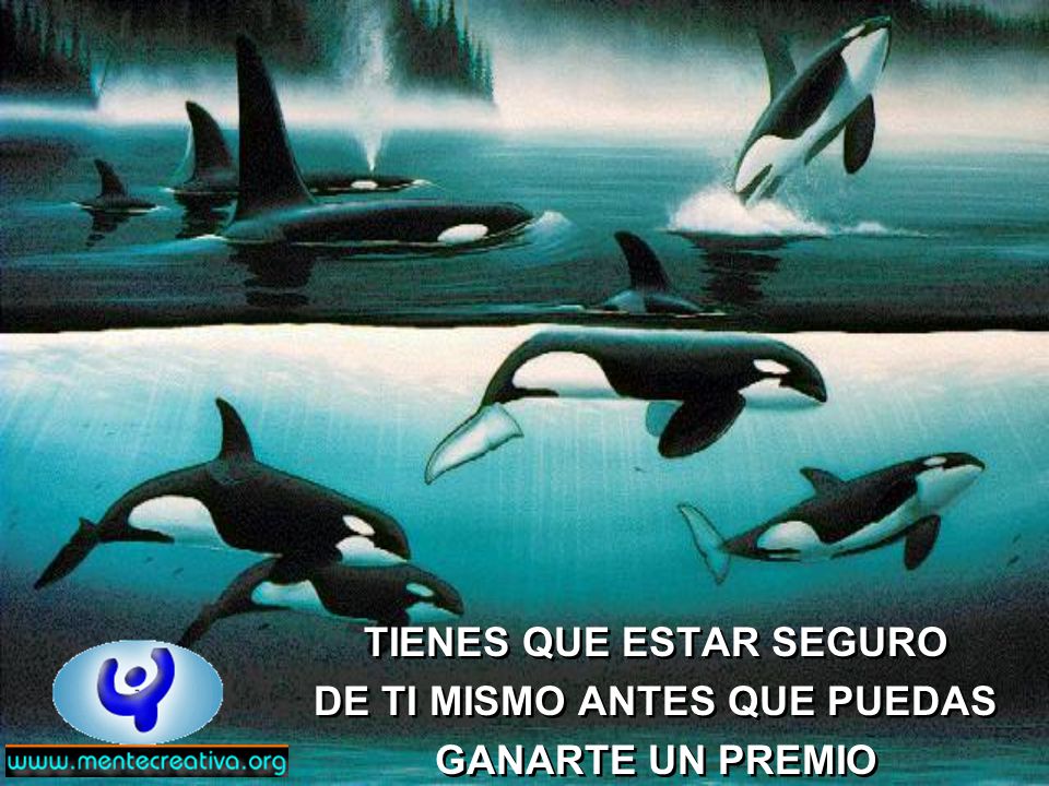 TIENES QUE ESTAR SEGURO DE TI MISMO ANTES QUE PUEDAS GANARTE UN PREMIO
