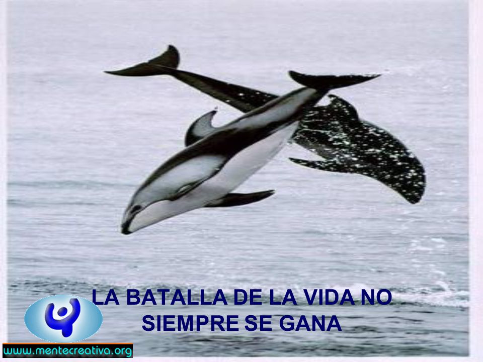 LA BATALLA DE LA VIDA NO SIEMPRE SE GANA