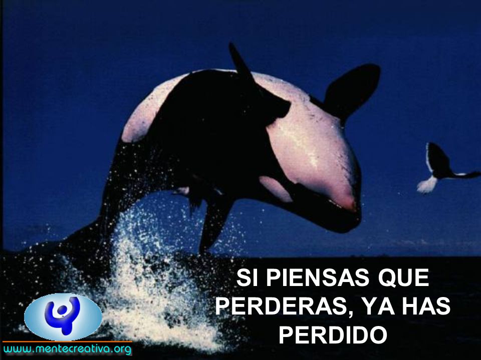SI PIENSAS QUE PERDERAS, YA HAS PERDIDO