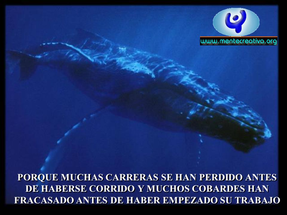 PORQUE MUCHAS CARRERAS SE HAN PERDIDO ANTES DE HABERSE CORRIDO Y MUCHOS COBARDES HAN FRACASADO ANTES DE HABER EMPEZADO SU TRABAJO