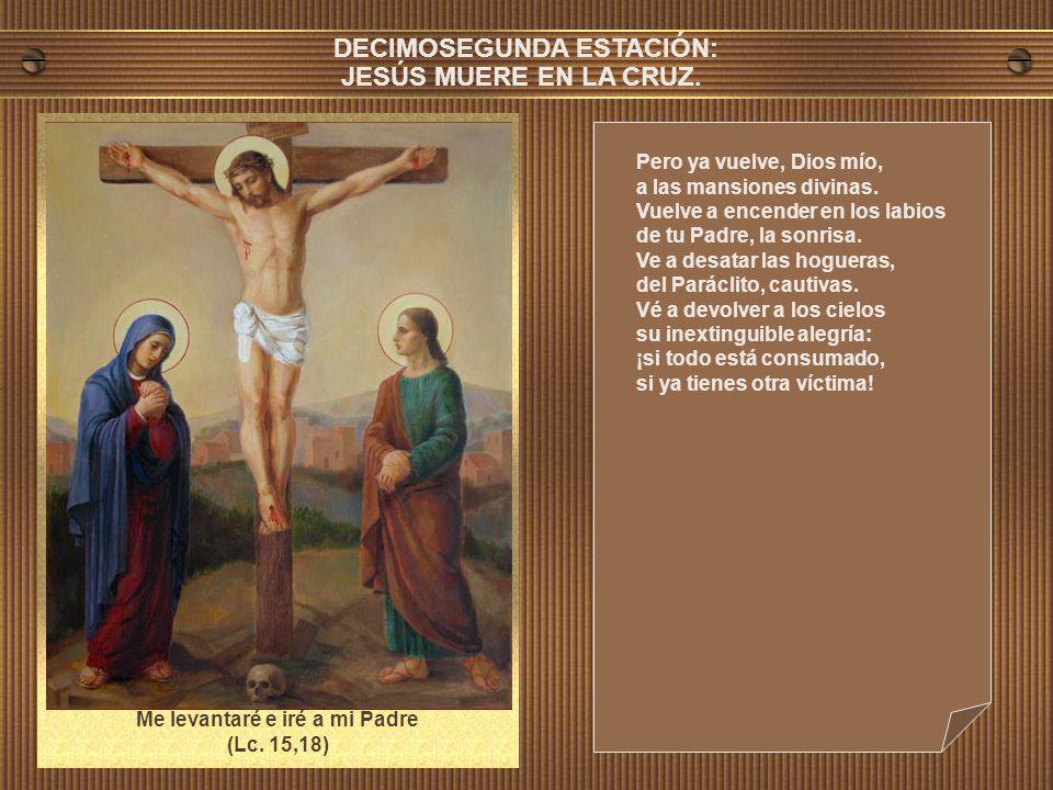 DECIMOSEGUNDA ESTACIÓN: Me levantaré e iré a mi Padre (Lc. 15,18)